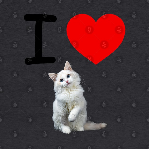 I HEART WHITE FLUFFY PERSIAN KITTEN by EmoteYourself